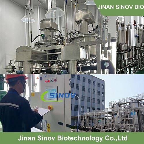 Nattokinase Powder best